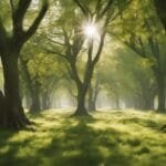 ¿Qué pasaría si la Tierra dejara de tener estaciones?