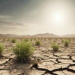 ¿Qué pasaría si las plantas dejaran de realizar la fotosíntesis?