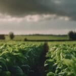 ¿Qué pasaría si los alimentos crecieran en cualquier clima?