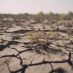 ¿Qué pasaría si nunca más lloviera?