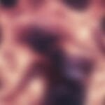 ¿Qué pasaría si pudiéramos cambiar de forma a voluntad?