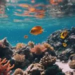 ¿Qué pasaría si el océano se volviera cristalino?