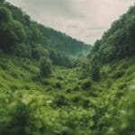 ¿Qué pasaría si destinamos la mitad del planeta a la vida silvestre?