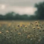 ¿Qué pasaría si desaparecieran todos los insectos?