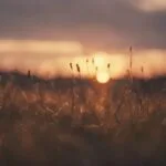 ¿Qué pasaría si los días duraran un año entero?