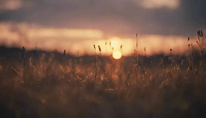 ¿Qué pasaría si los días duraran un año entero?